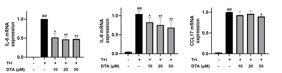 아토피 피부염 모델에 농도별 N-isobutyldodeca-2,4,8,10-tetraenamide 처리 후 CCL17, IL-6, IL-8의 mRNA 발현량 변화