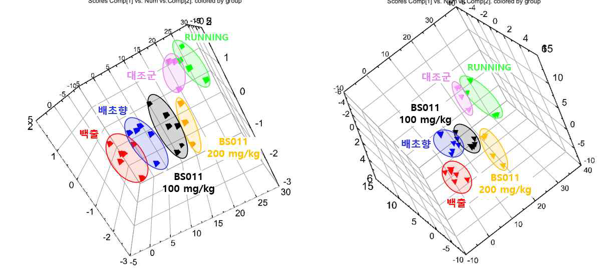 동물 running 모델에 백출, 배초향 및 BS011의 저농도, 고농도 투여 후 대사체학 분석 조건에서의 다변량 분석 결과. 좌-positive ionization mode, 우-negative ionization mode