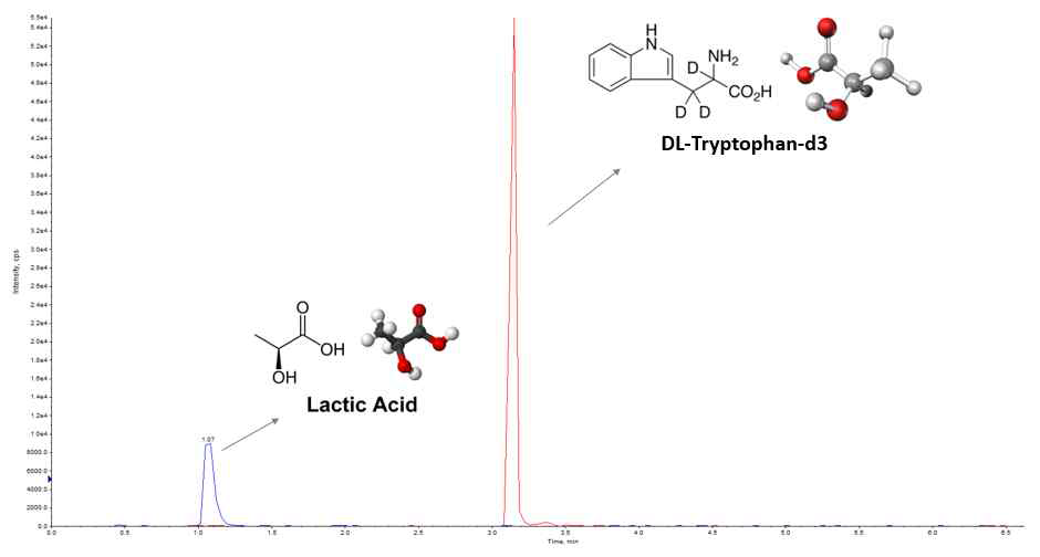 Lactate 정량을 위한 LC-MS/MS 표준품 크로마토그램