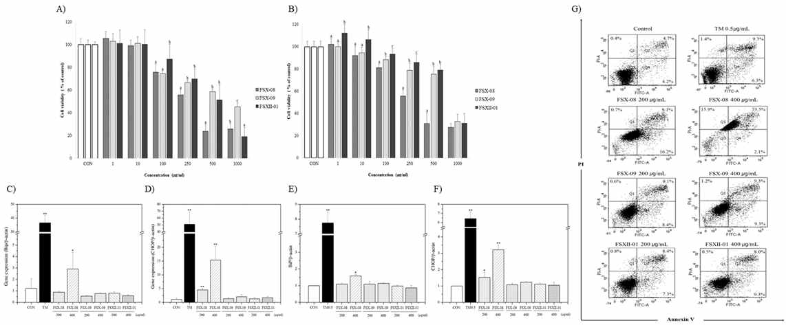 A) Chang cell, B) HepG2 cell에서의 FSX-08, FSX-09, FSXII-01 독성평가. RT-qPCR을 통한 창이자 주정추출물의 C)BiP, D)CHOP의 유전자 발현량 확인. Western-blot을 통한 창이자 주정추출물의 E) BiP, F)CHOP의 단백질 발현량 확인. G) Flow cytometry로 분석한 창이자 주정추출물의 apoptosis 측정.