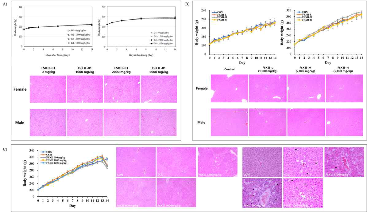 FSXII-01의 A) 암수 SD 랫드 단회 경구투여 시, B) 암수 SD 2주 반복 경구투여 시, C) 수컷 SD 2주 반복 경구투여 시(CCl4 투여 model) 체중변화 및 간 조직 병리학적 관찰.