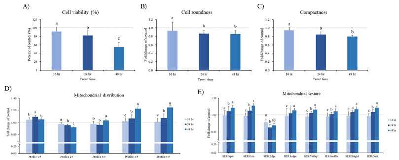 시간별(16, 24, 48 hr) STS 처리에 따른 A) HCS assay로 확인한 cell viability, B) cell roundness, C) compactness, D) mitochondrial distribution(Profile의 값), E) mitochondrial texture.