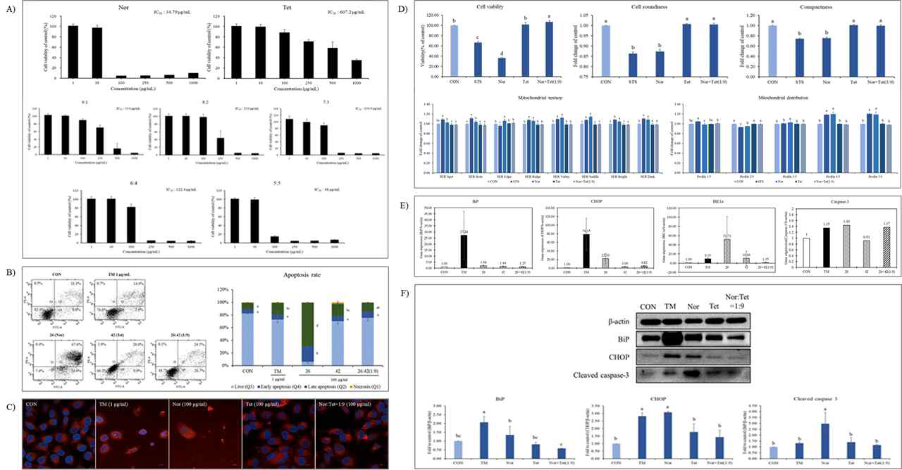 Nor과 Tet의 단일 및 그 조합(1:9) 처리에 따른 A) 간세포(Chang liver cell)에서의 세포독성 평가, B) apoptosis rate의 변화, C) cell morphology의 변화, D) HCS parameter의 변화, E) BiP,CHOP, IRE1α,Caspase-3의 유전자 발현량 변화, F) BiP,CHOP,Cleaved caspase-3의 단백질 발현량 변화.