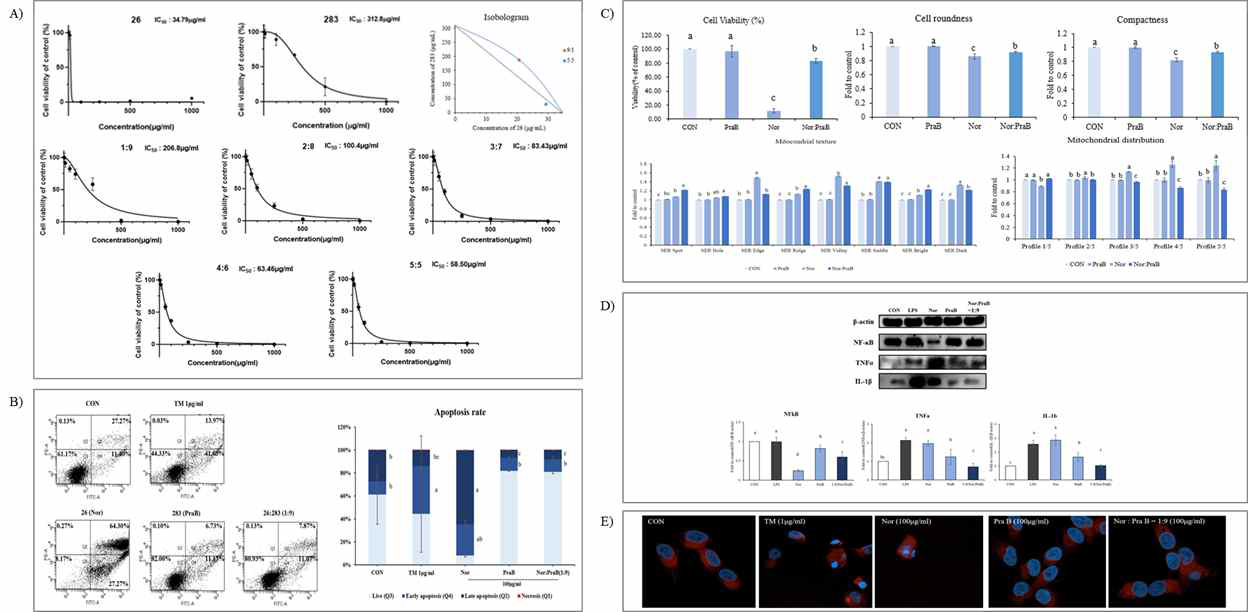 Nor과 PraB의 단일 및 그 조합(1:9) 처리에 따른 A) 간세포(Chang liver cell)에서의 세포독성 평가, B) apotposis rate의 변화, C) HCS parameter의 변화, D) TNFα, IL-1β, NF-κB 단백질 발현량 변화, E) cell morphology의 변화.