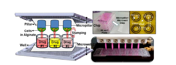 3D microchip 기반 독성스크리닝 플랫폼 기술