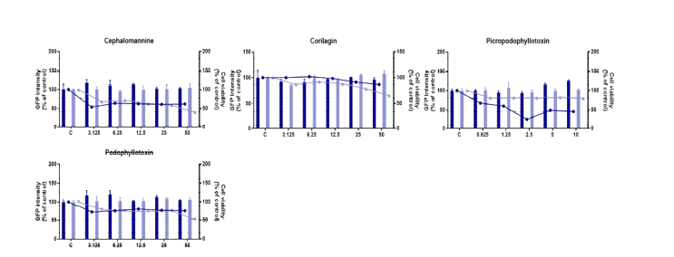 P53 독성성센싱 세포주의 대사활성 유무에 따른 천연물의 형광 발현 및 세포 생존율