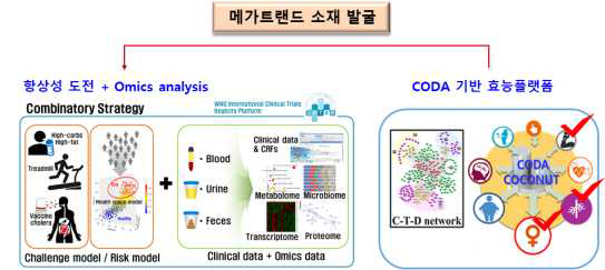 역방향 메가트랜드 소재 발굴