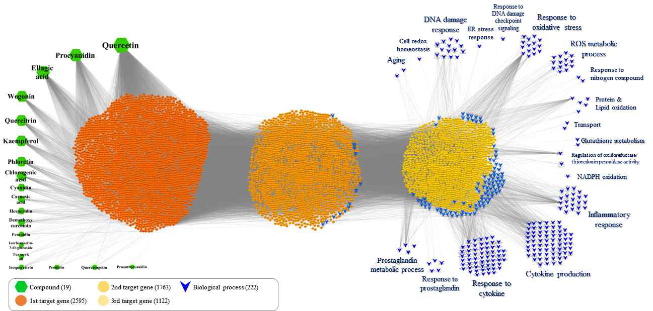 성분-타겟-Biological process로 구성된 3 layered 산화스트레스 네트워크