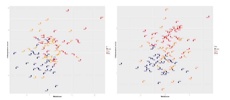 Health space model with metabolic and inflammation score