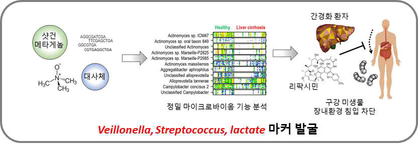 HS-QMP기술을 기반으로 하여 간경화 마이크로바이옴/대사체 마커 발굴 결과