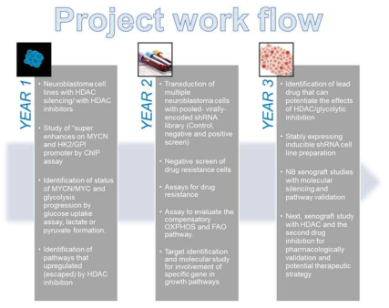 Yearly plan for the project achievment