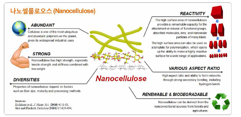 나노셀룰로오스 특징(출처:Eichhorn 등, 2010; Siro와 Plackett, 2010).