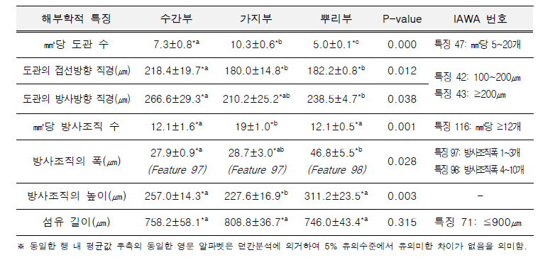 오동나무 재부별 해부학적 특징