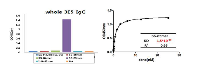 바이오유해물질 검출용 항체(3E5) 후보군의 Kd value