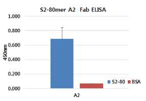 S2-80mer에 결합하는 단일 항체 후보군 개발