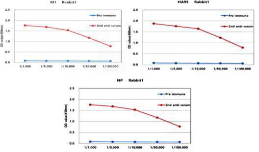 각 항원에 대한 다클론항체 형성 여부 확인