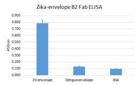 표적항원 Zika-envelope에 결합하는 단일 항체 후보군 개발