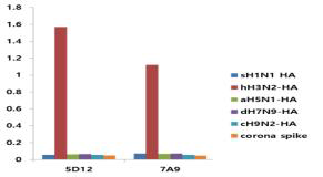 다양한 인플루엔자 A 바이러스의 HA항원에 대한 H3N2 HA 단클론항체의 반응성
