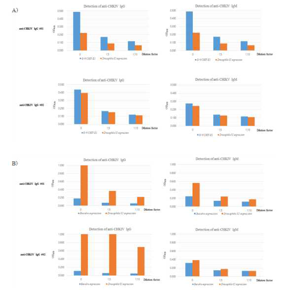 ELISA법을 이용한 Drosophila S2 세포 발현 시스템 유래 치쿤구니야 바이러스 E1, E2 단백질의 반응성 실험 결과. A) E1 단백질의 반응성 실험, B) E2 단백질의 반응성 실험