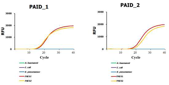 녹농균 판별용 바이오 마커 2종 개발-교차반응 qPCR 결과. 녹농균 종 진단마커 2종에 대해 병원유래 분리 슈퍼박테리아 녹농균, PAE01과 PAE02 그리고 다른 주요 패혈증 원인세균, A. baumannii, E. coli, 그리고 K. pneumoniae를 대상으로 교차반응 수행. 녹농균에서만 형광검출. RFU; Relative fluorescence units, PAID_1; 종진단마커1 PAID_2; 종진단마커 2, RFU; Relative fluorescence units