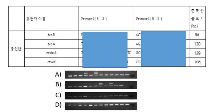 클로스트리디움 디피실 검출을 위한 종 진단 바이오 마커를 이용한 PCR 전기영동사진. A) tcdB, B) tcdA, C) endoA, 그리고 d) mviN 유전자 에 대한 PCR 산물