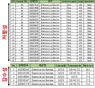 환자 유래 장내 구균 25종에 대한 반코마이신 내성 조사