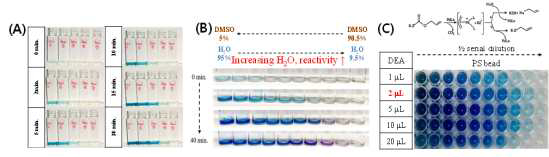 (A) 나노촉매복합체의 농도와 기질과의 반응시간 최적화, (B) 나노촉매복합체 내 집적된 촉매 방출 위한 용기용매/물 비율 최적화, (C) DEA양 최적화.