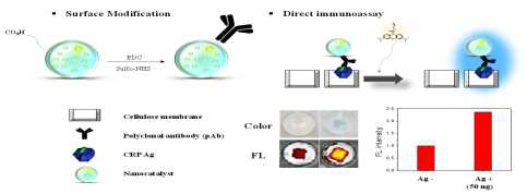 (A) 촉매 복합체 함유 polystyrene 나노비드의 표면개질 및 (B) 이를 기반한 생체검출 모식도 및 CRP유무에 따른 발색 및 형광 결과