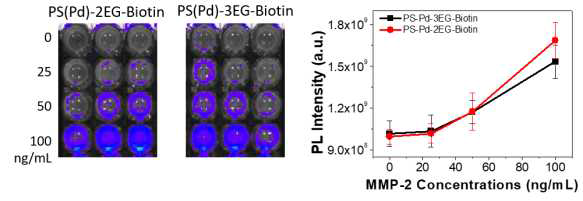 MB-alloc을 처리한 후 30분 뒤의 MMP-2 농도에 따른 형광 이미지 및 형광 세기