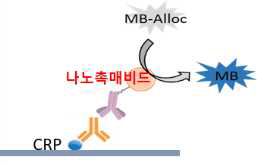 Direct ELISA 시스템