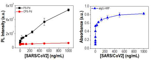 SARS/CoV2 RBD 검출을 위한 indirect ELISA