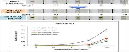 Influenza A immunoassay & HAuCl4 신호증폭 Test 결과(dipstick)