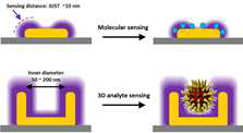 Molecular sensing을 위한 2D LSPR 센서와 3D analyte sensing을 위한 3D LSPR 센서의 개념도.