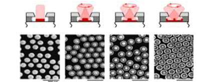 Au flux의 입사 각도를 변화하여 형성된 다양한 형태의 3D Au nanostructures.