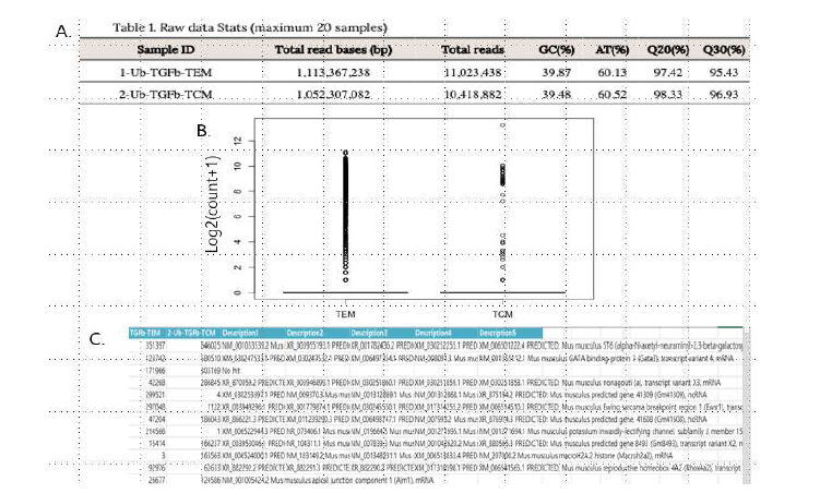 Ub KO library를 도입한 후, TGFb 처리 후, Tem (TEM), Tcm (TCM) 세포의 gDNA NGS 분석 결과. A. 각 샘플 (Ub-TGFb-TEM vs Ub-TGFb-TCM) 의 total reads 수 정리표. B. TEM, TCM 샘플에서 보이는 단일종 gDNA 카운트 수 비교. C. TCM, TEM 사 이에 차등을 보이는 gDNA 서열이 타겟하는 유전자 리스트.
