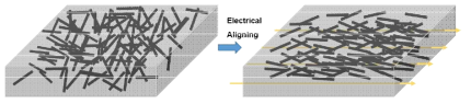 P(VDF-TrFE)-CNT 복합체 내에서 CNT의 alignment 모식도