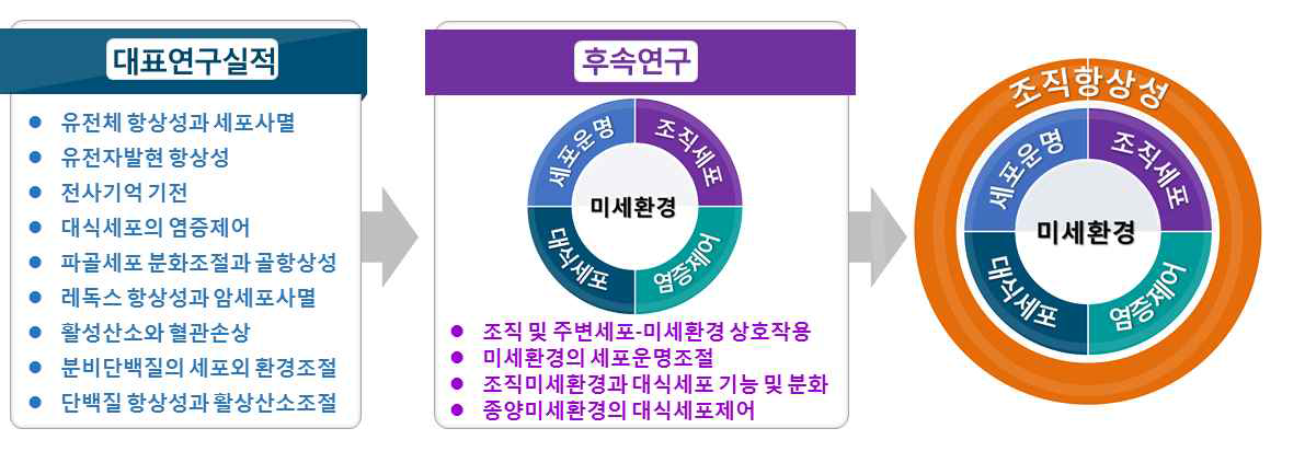 연구의 창의성