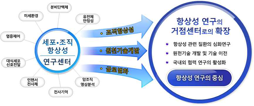 세계적인 연구그룹으로의 발전 비전