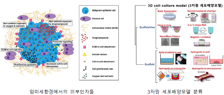 3차원 세포배양 기술의 연구 및 상용화 동향: 최재원, 이동우, Lovitt CJ, Shelper TB, Avery VM. Advanced cell culture techniques for cancer drug discovery. Biology. 2014;3(2):345-67