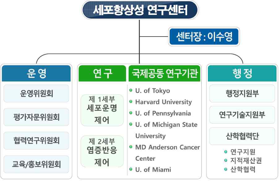 조직 체계도