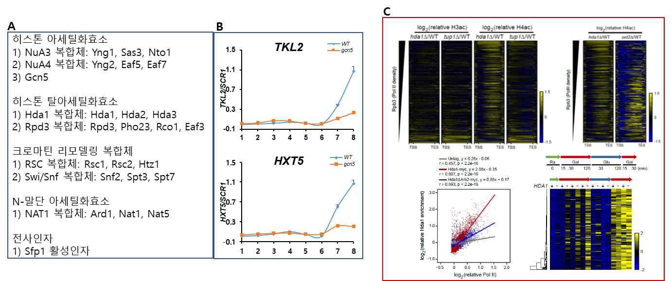 전사기억 제어인자 발굴 및 Hda1 복합체의 새로운 기능 규명