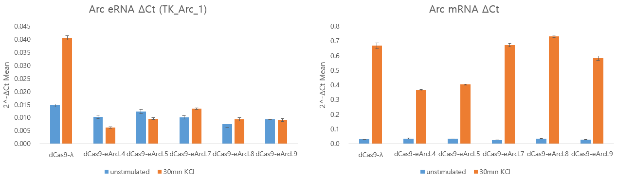 dCas9을 이용하여 Arc 인핸서를 표적했을 때 Arc eRNA와 mRNA의 발현량 변화.