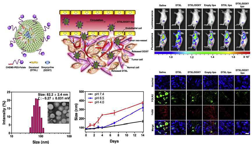 비소세포폐암의 효율적 치료를 위한 pH 민감성 multi-drug liposomes