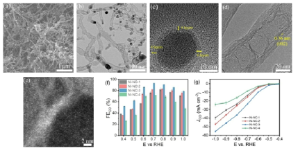 (a-e) Ni 나노입자가 캡슐화된 N이 풍부한 탄소 나노튜브의 SEM과 TEM 이미지 및 (f, g) CO2RR 활성