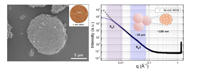 Ni-rich NCM As-synthesized 소재의 SEM image 와 SAXS 패턴