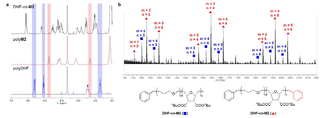 (a) DHF-co-M2 공중합체 및 M2 및 DHF homopolymer의 1H NMR 스펙트럼. (b) DHF-co-M2 공중합체의 MALDI-TOF 스펙트럼