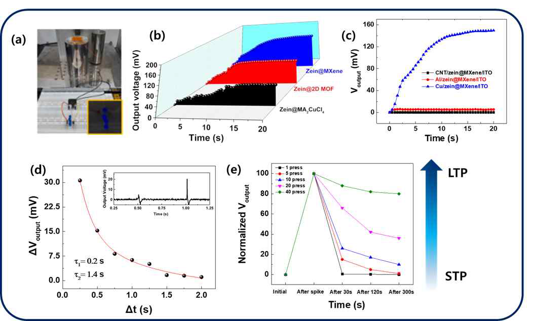 (a) 다기능 센서의 자기 학습 및 기억 조정 특성 실험 사진. (b) 다양한 나노복합체 활성층 기반에서의 학습 능력. (c) 다양한 전극 조건 하에서의 학습 및 기억 특성. (d) Zein@MXene 소자의 자극 시간차에 따른 출력전압 상승 결과. (e) Zein@MXene 기반 소자에서 단기기억 및 장기기억 능력 실험 결과
