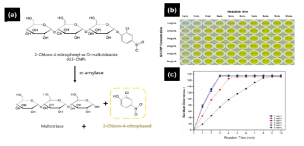 (a)α-amylase의 G3-CNP 분해 메커니즘, (b)G3-CNP 농도와 반응 시간에 따른 색상 변화 이미지, (c)G3-CNP 농도별 시간에 따른 색상 변화 차이