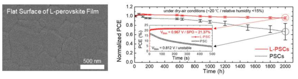 접합 페로브스카이트 표면과 장기 안정성 특성평가