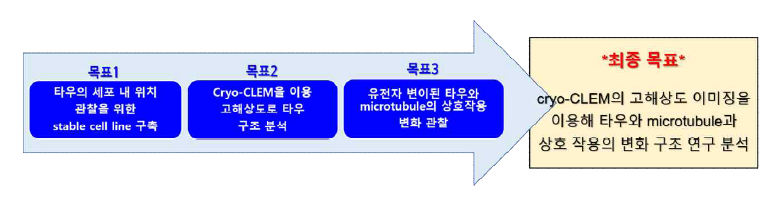 연구개발과제의 단계별 목표 및 최종 목표